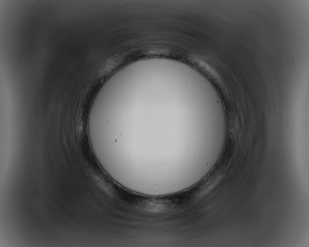 X0000086910261200705071310