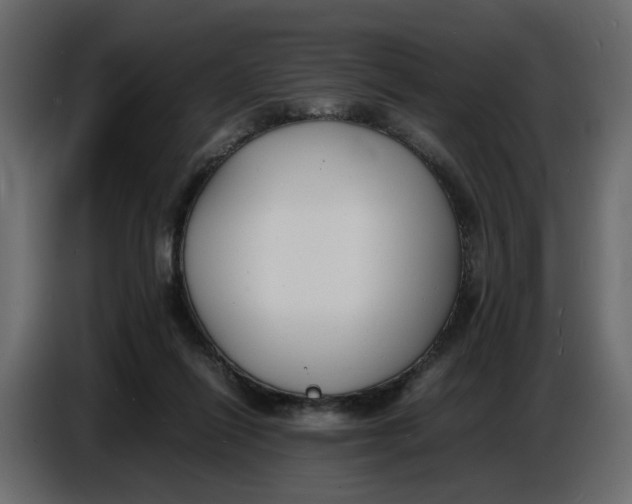 X0000086910262200705071310