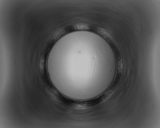 X0000086910263200705071310