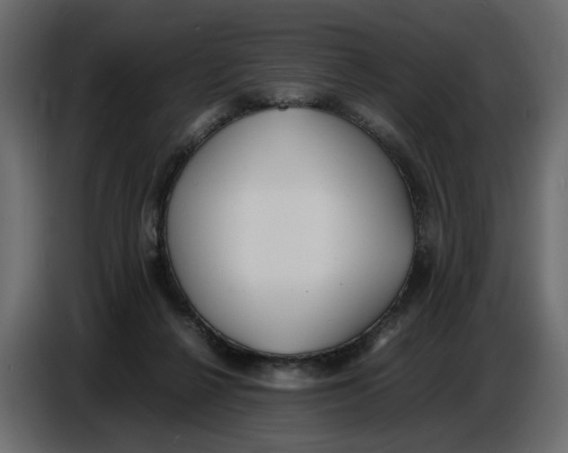 X0000086910264200705071310