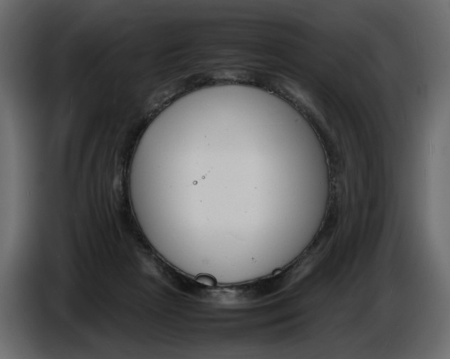 X0000086910265200705071310