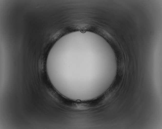 X0000086910268200705071310