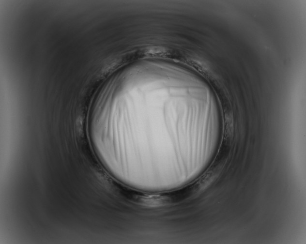 X0000086910269200705071310