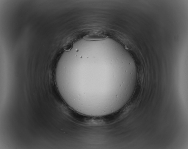 X0000086910270200705071310