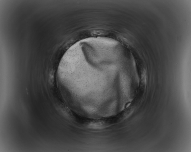 X0000086910271200705071310