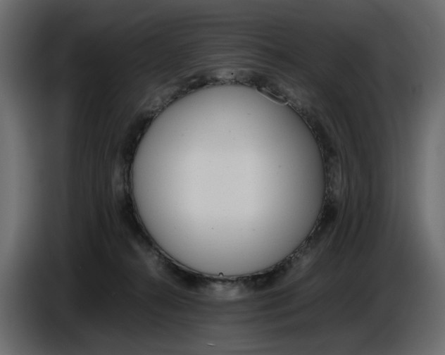 X0000086910272200705071310