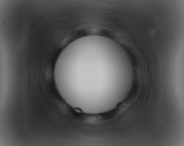 X0000086910274200705071310