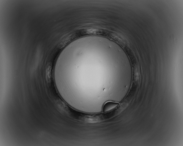 X0000086910275200705071310