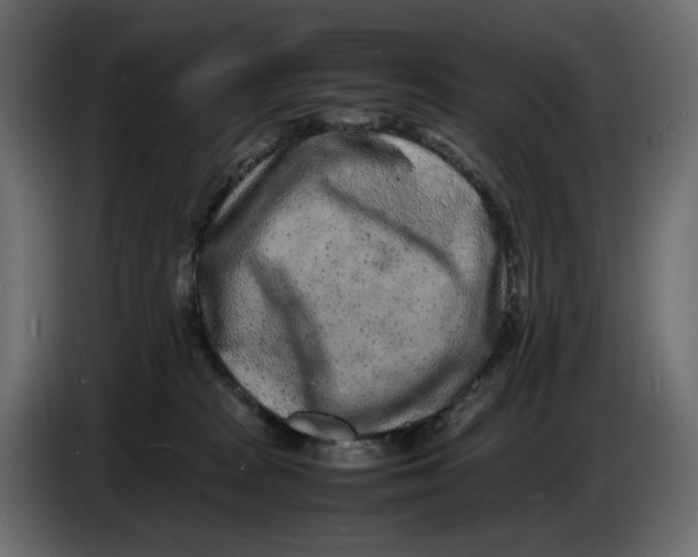 X0000086910277200705071310