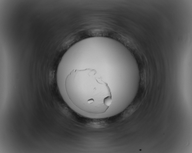 X0000086910278200705071310