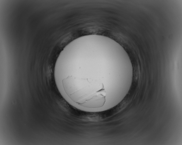 X0000086910279200705071310