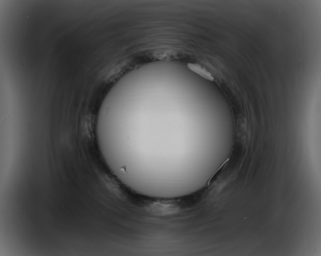 X0000086910280200705071310