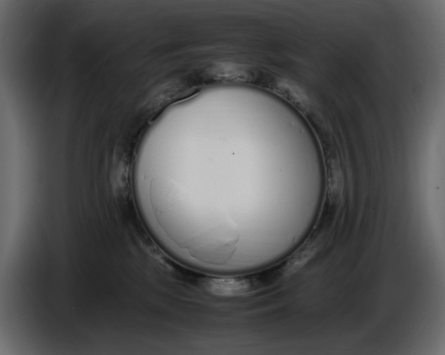 X0000086910281200705071310