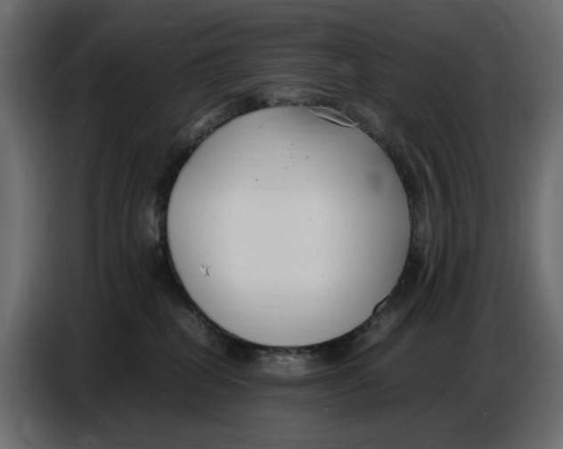 X0000086910282200705071310