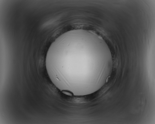 X0000086910283200705071310