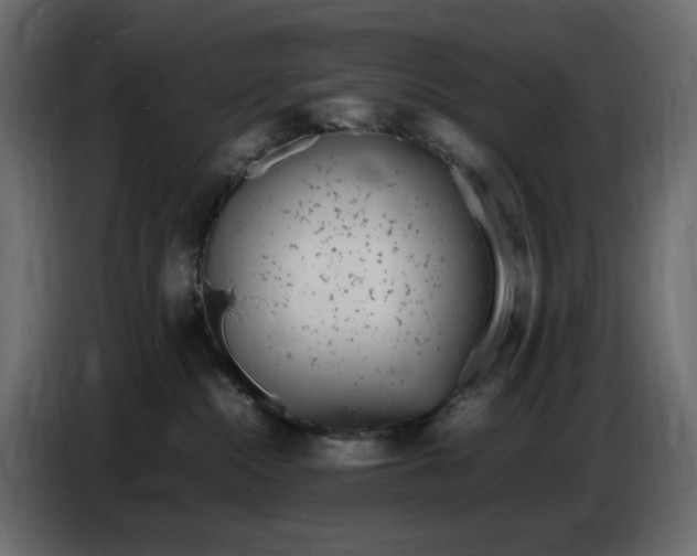 X0000086910284200705071310