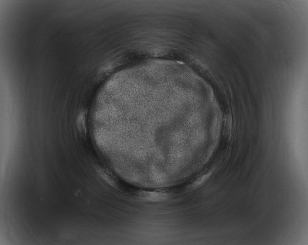 X0000086910286200705071310