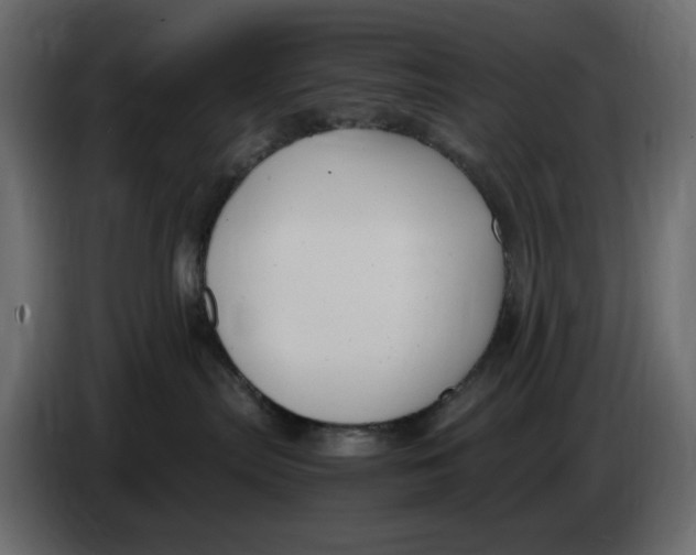 X0000086910287200705071310