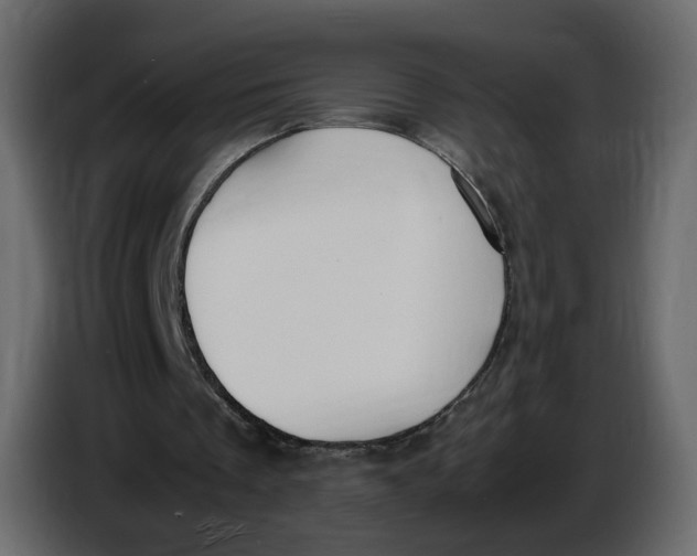 X0000086910289200705071309