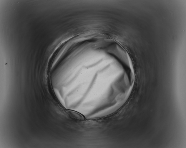 X0000086910290200705071309