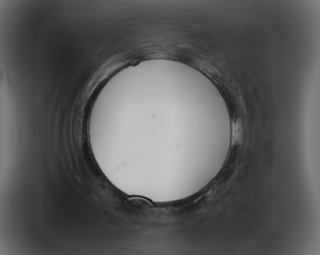 X0000086910291200705071309