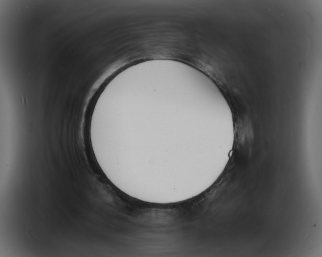 X0000086910292200705071309