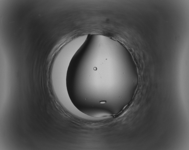 X0000086910293200705071309