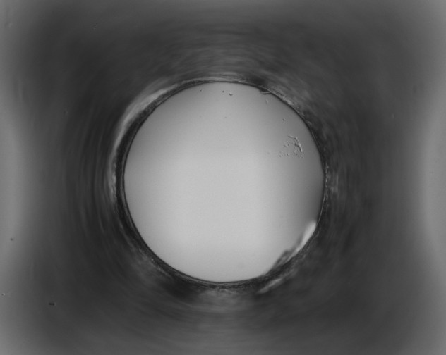 X0000086910294200705071309