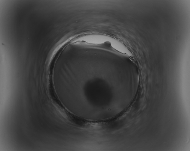 X0000086910295200705071309