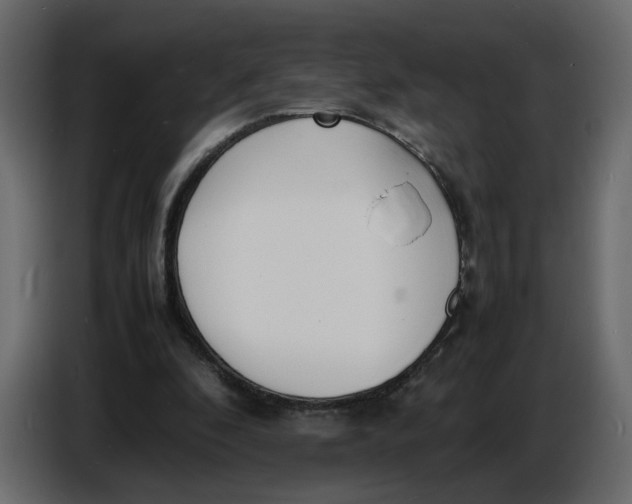 X0000086910296200705071309