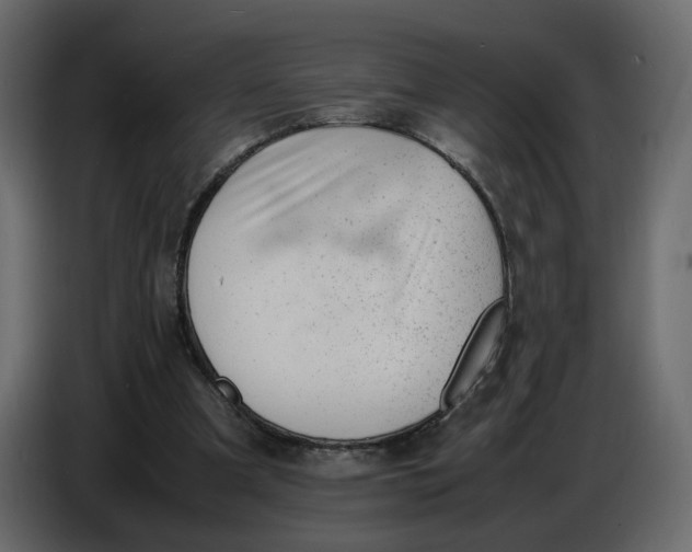 X0000086910297200705071309