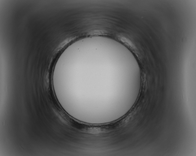 X0000086910298200705071309