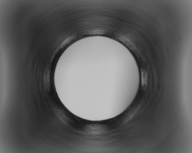 X0000086910300200705071309