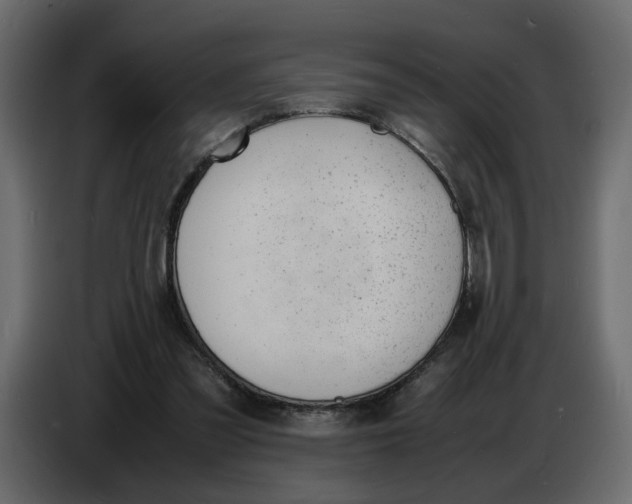 X0000086910301200705071309