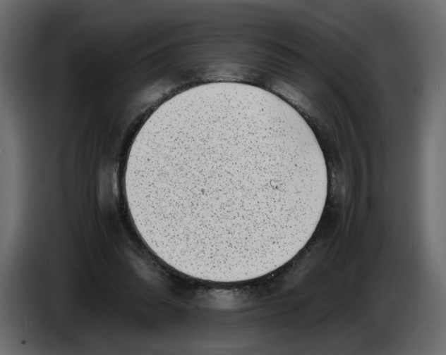 X0000086910302200705071309