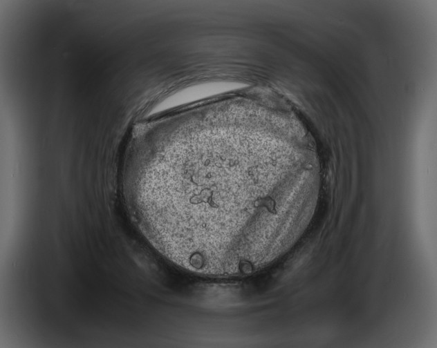 X0000086910303200705071309