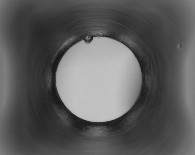 X0000086910304200705071309