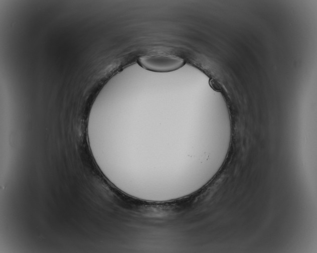 X0000086910305200705071309