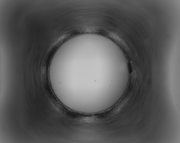 X0000086910306200705071309