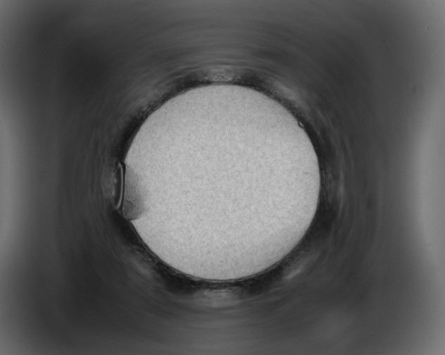 X0000086910307200705071309