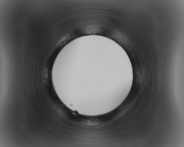 X0000086910308200705071309