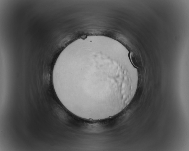 X0000086910309200705071309