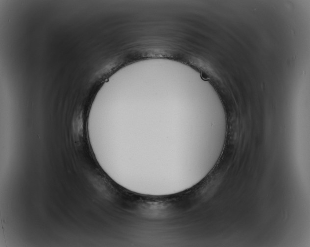 X0000086910310200705071309