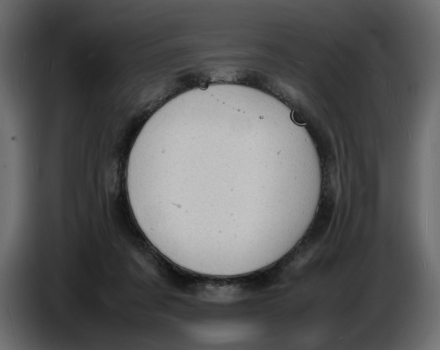 X0000086910311200705071309