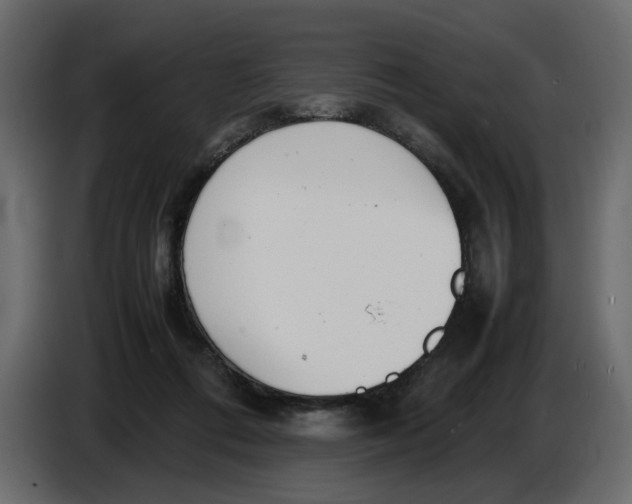 X0000086910312200705071309