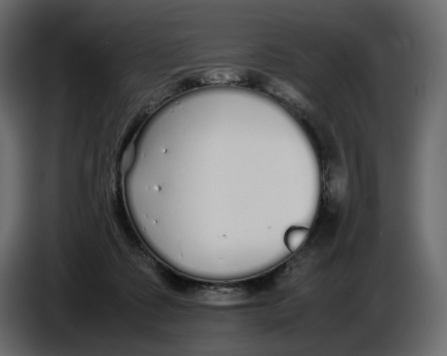 X0000086910315200705071309