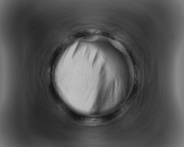 X0000086910319200705071309