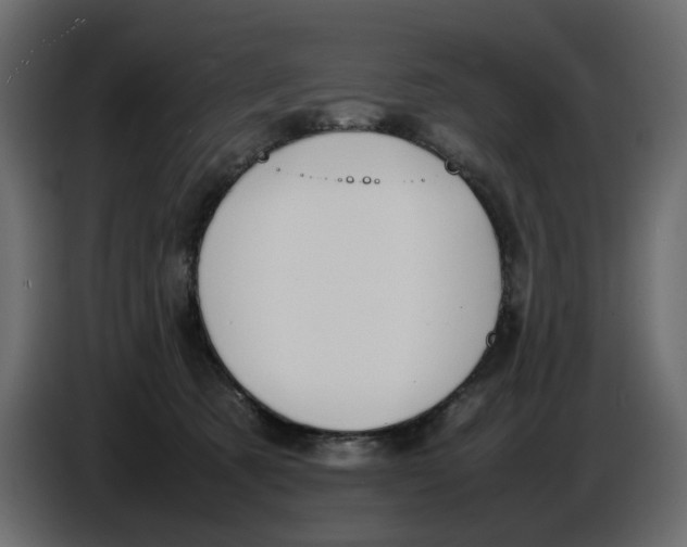 X0000086910321200705071309