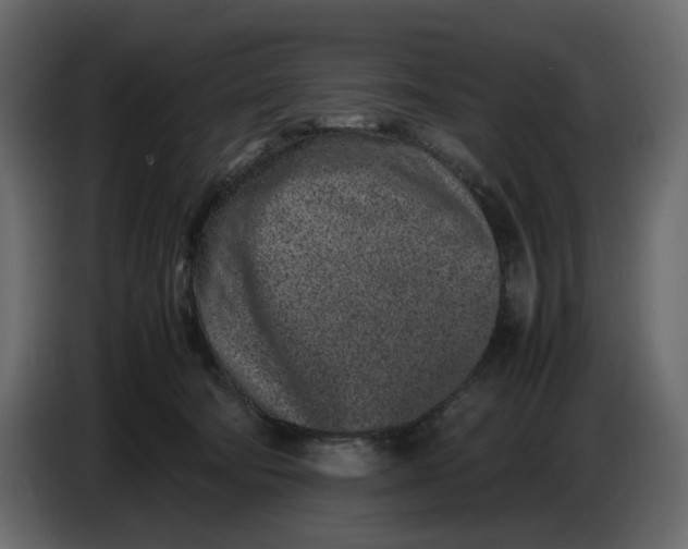 X0000086910322200705071309