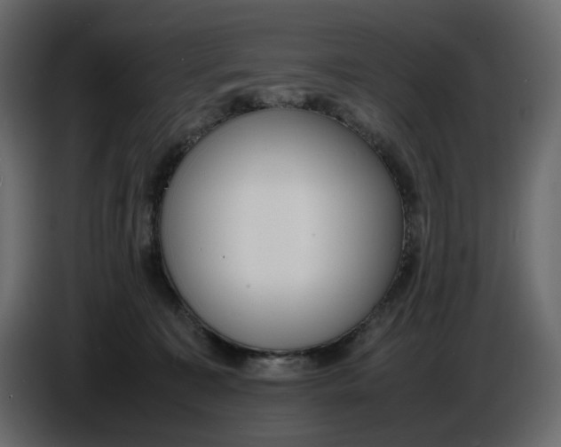 X0000086910323200705071309